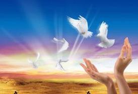 熱烈慶祝我公司網(wǎng)站正式上線(xiàn)！